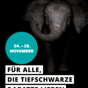 Black Days 24.-28.11.