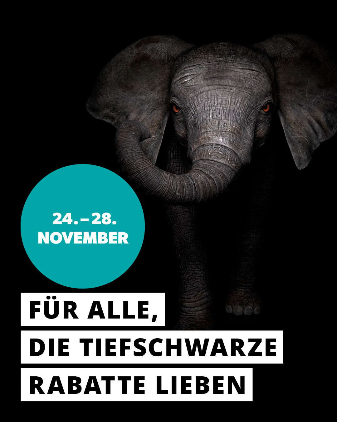 BlackDays 2025 Black Days 24.-28.11.