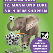 Elefant mit Fußball