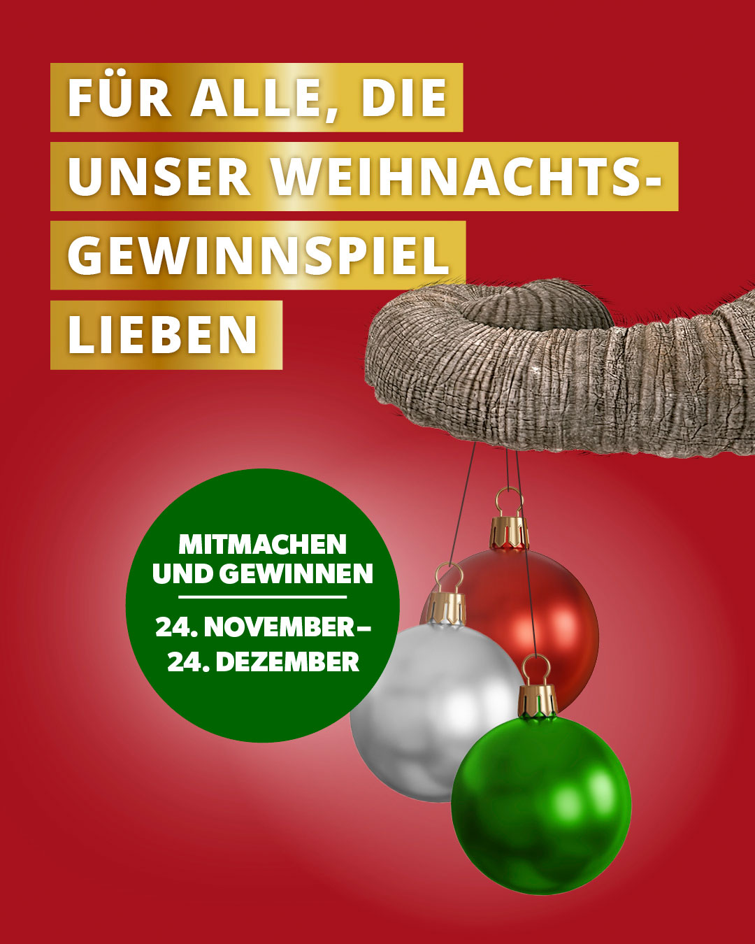 MGB_Weihnachtsgewinnspiel2025_1080x1350px_01_fin