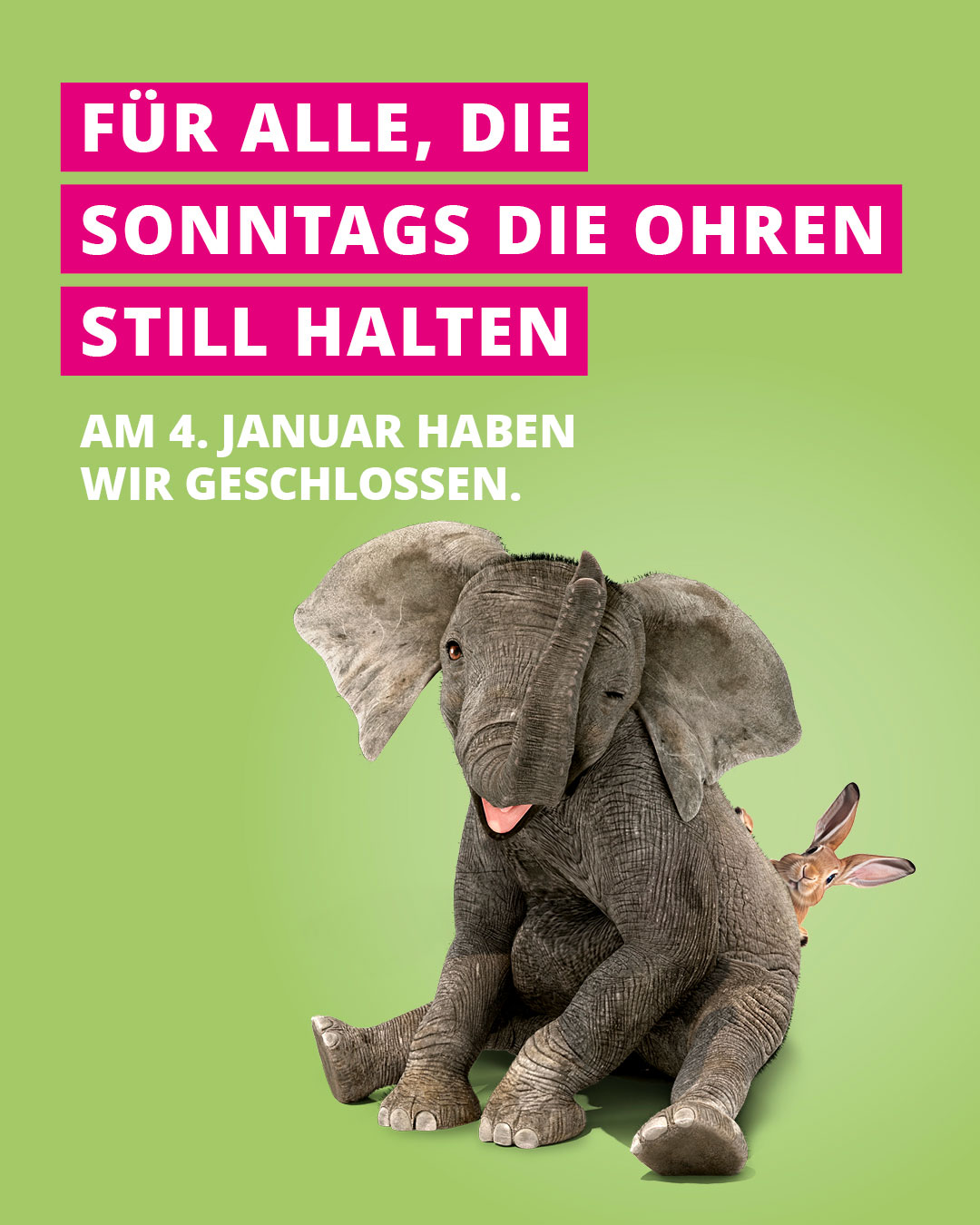 MGB_Nicht-VOS_4-1-2026_1080x1350px_01